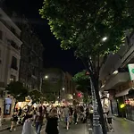 Downtown Greenery - Cozy Comfy Central