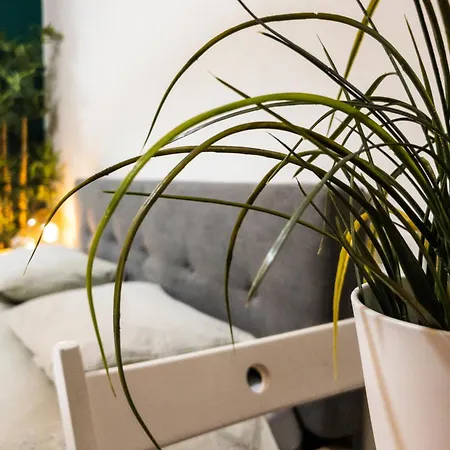 Elegant Urban Studio - Heart Of Calea Victoriei Lejlighed *