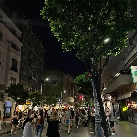 Elegant Urban Studio - Heart Of Calea Victoriei