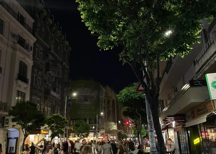 Downtown Greenery - Cozy Comfy Central